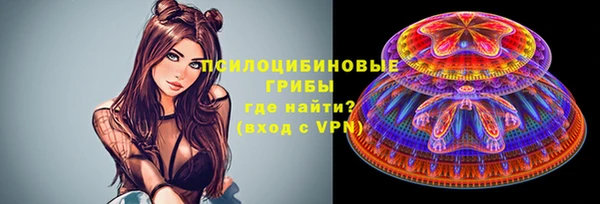 Альфа ПВП Арсеньев
