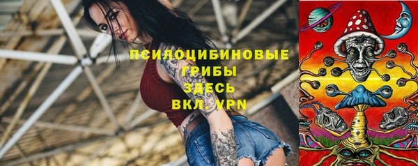 Альфа ПВП Арсеньев