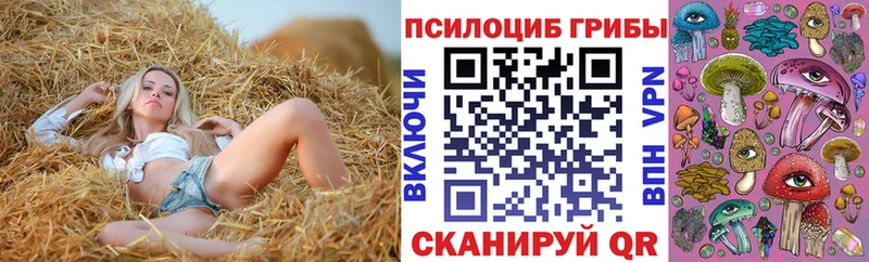 Псилоцибиновые грибы прущие грибы цены mega Удомля